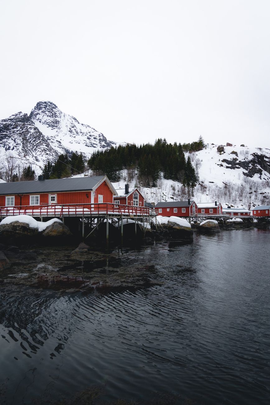 Snow-covered wooden rorbuer cabins along the water in Lofoten